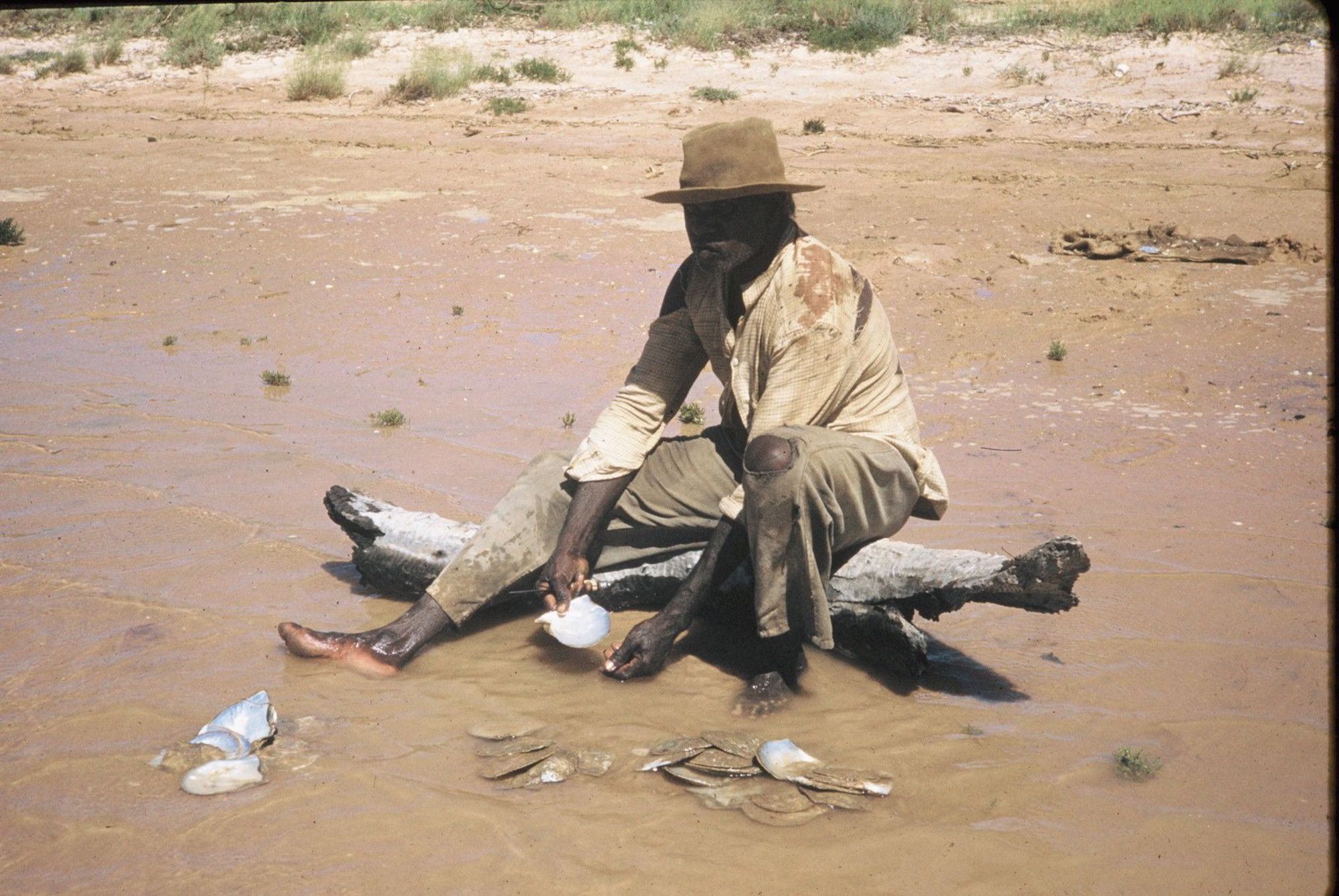 Pindan Member Cleans Pearl Shell